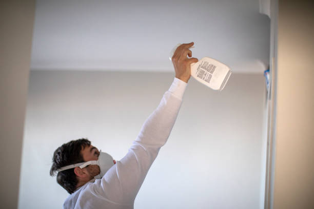 Best Professional Mold Removal  in Mapleton, UT